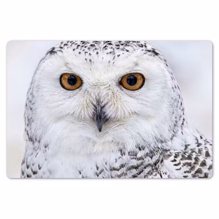 Placemat - 6 stuks - Sneeuwuil - Oog - Wildlife - Wit — 7