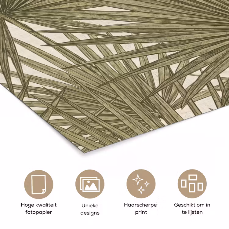 Poster - Blad - Tropisch - Patroon - Natuur - Groen — 5