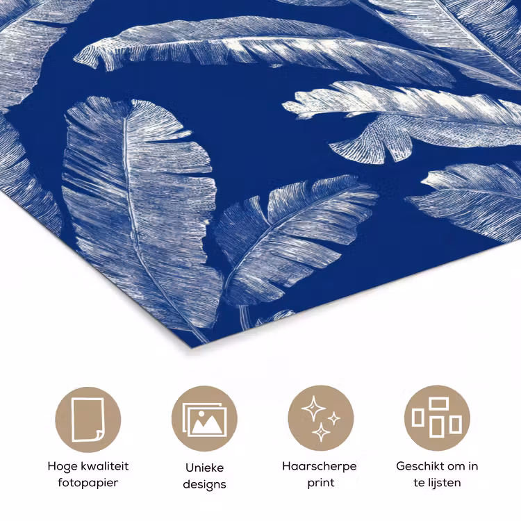 Poster - Blad - Palm - Blauw — 5