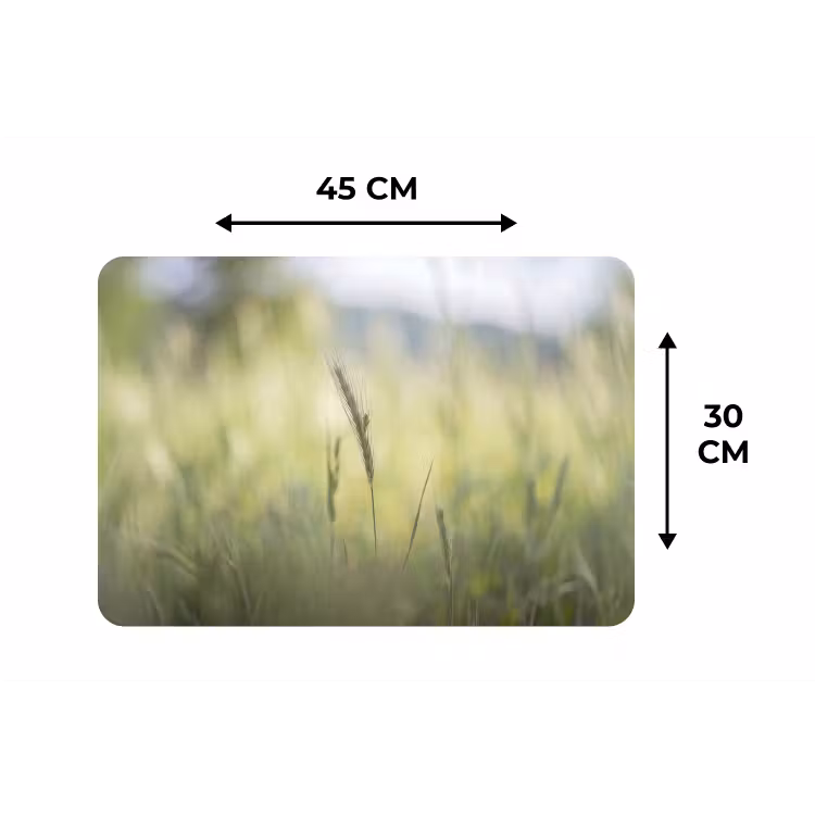 Placemat - 6 stuks - Graan - Aar - Natuur - Groen - Detail — 3