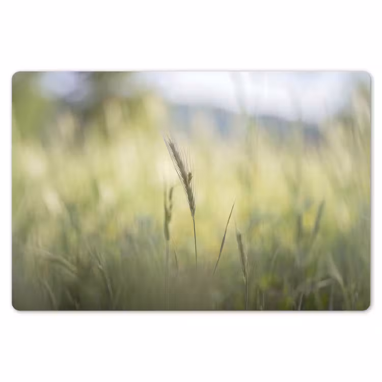 Placemat - 6 stuks - Graan - Aar - Natuur - Groen - Detail — 7