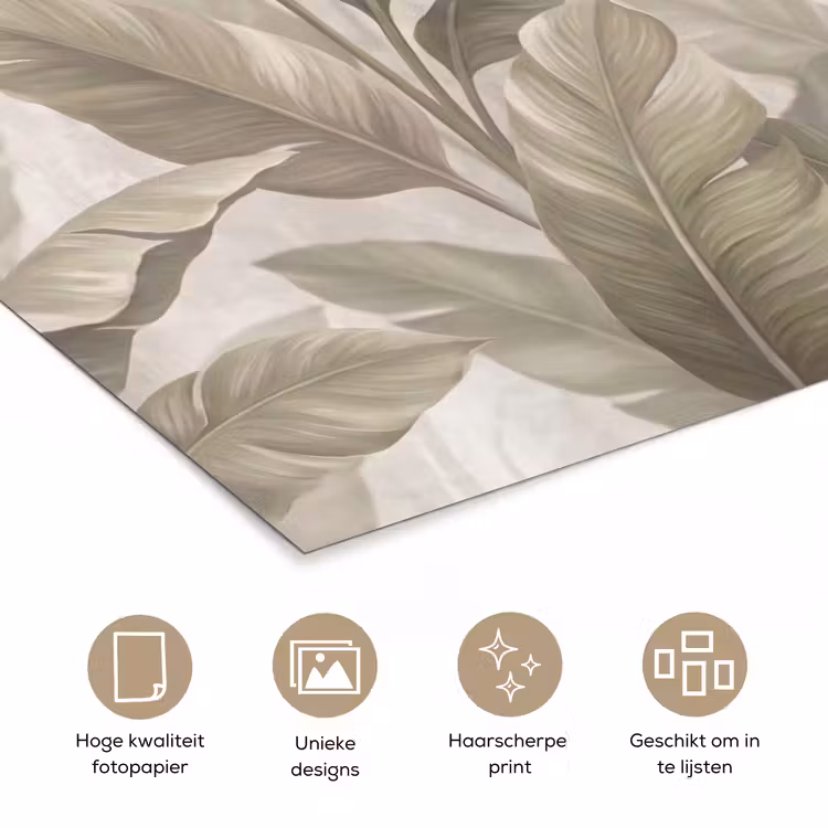 Poster - Bladeren - Tropisch - Natuur - Abstract - Beige — 5
