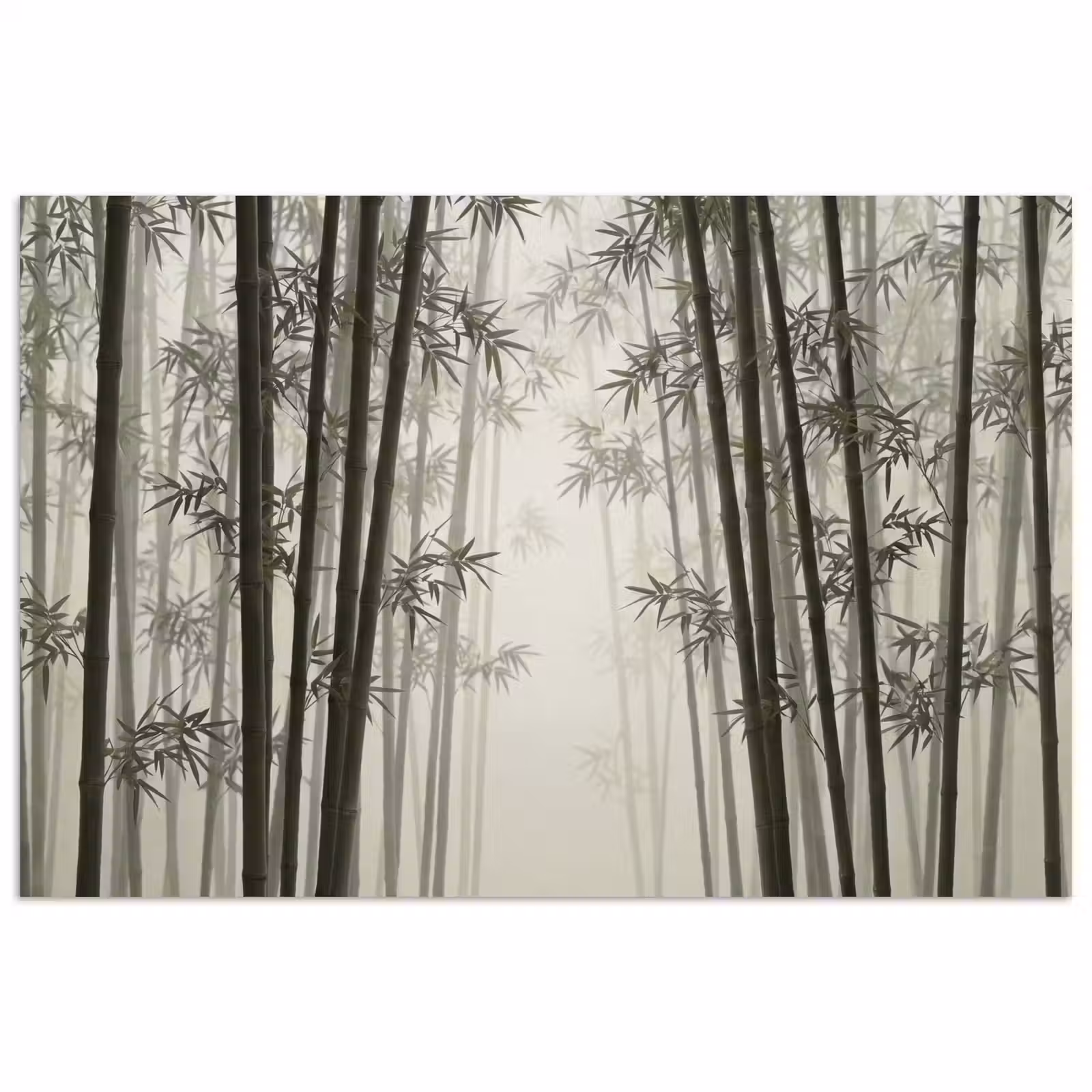 Poster - Bamboe - Bos - Mist - Natuur — 1