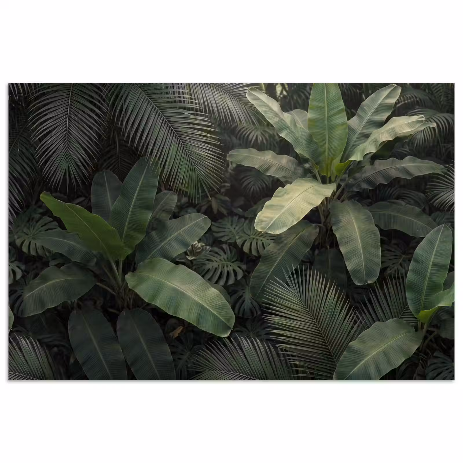 Poster - Bladeren - Groen - Tropisch - Natuur — 1