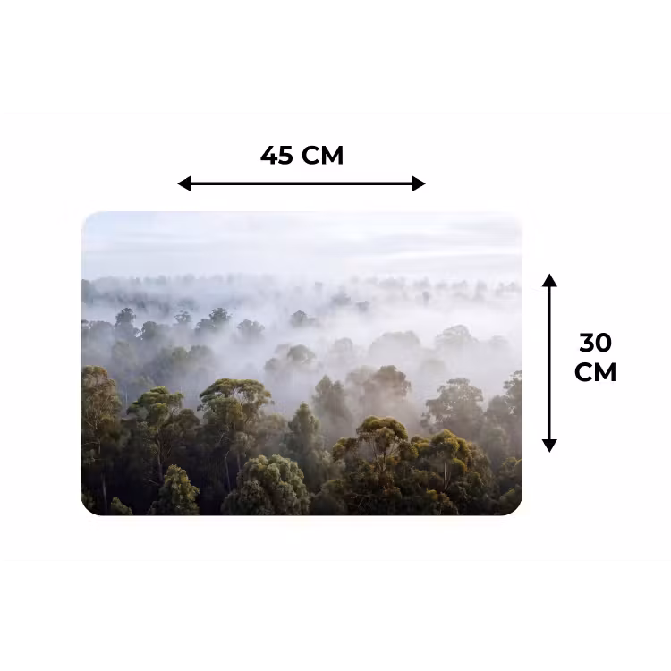 Placemat - 6 stuks - Natuur - Mist - Bos - Ochtend - Goud — 3