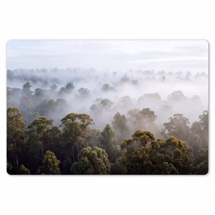 Placemat - 6 stuks - Natuur - Mist - Bos - Ochtend - Goud — 7