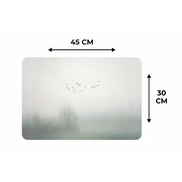 Placemat - 6 stuks - Vogel - Vlucht - Natuur - Minimalistisch — 3