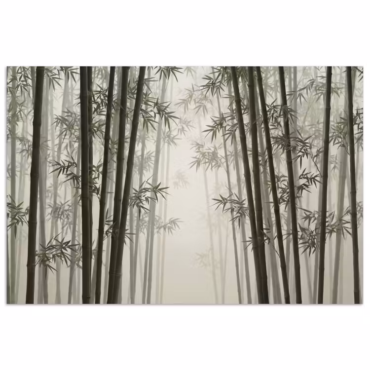 Poster - Bamboe - Bos - Mist - Natuur — 1