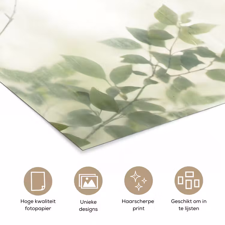 Poster - Blad - Schaduw - Natuur - Abstract - Groen — 5