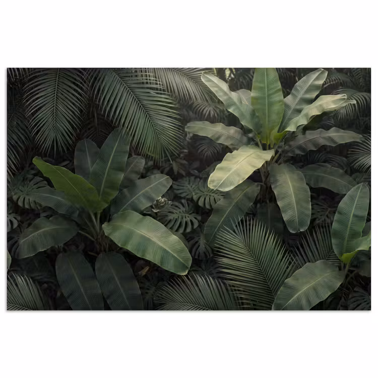 Poster - Bladeren - Groen - Tropisch - Natuur — 1