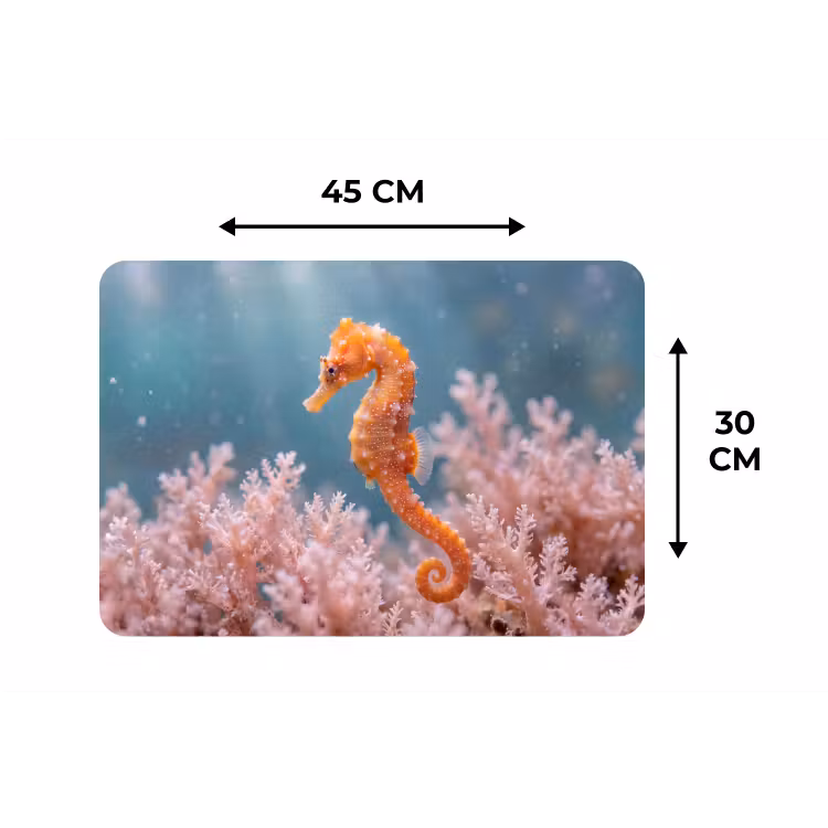 Placemat - 6 stuks - Vis - Koraal - Oceaan - Macro - Oranje — 3