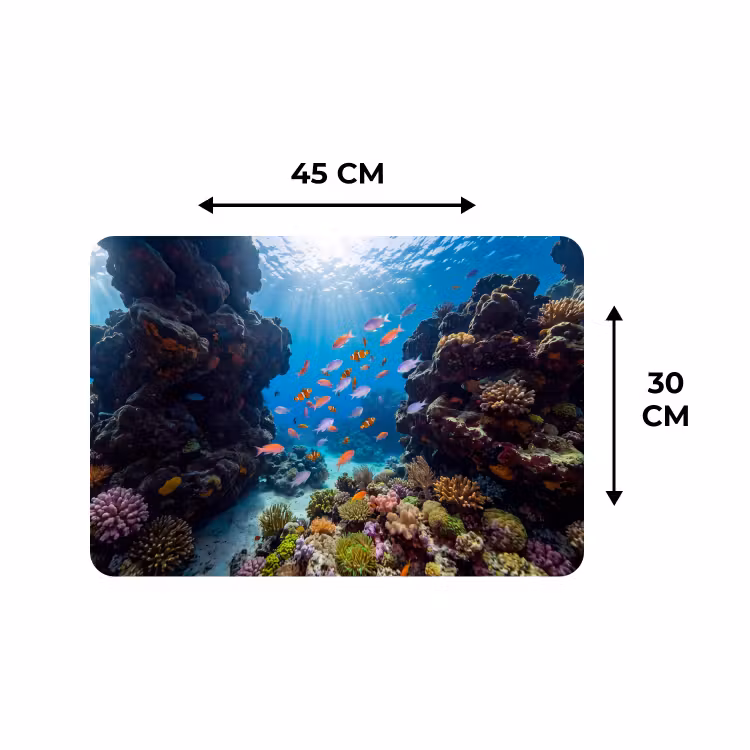 Placemat - 6 stuks - Vis - Koraalrif - Onderwater - Levendig - Blauw — 3