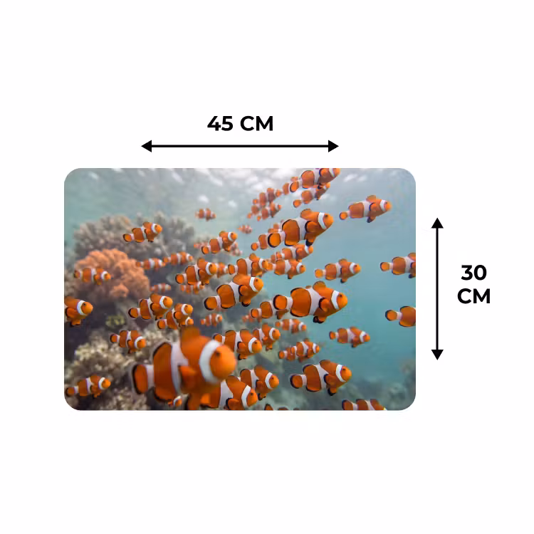 Placemat - 6 stuks - Vis - School - Onderwater - Dieren - Oranje — 3
