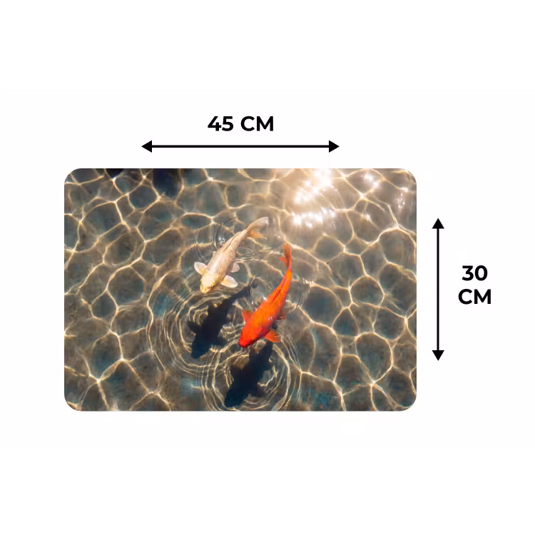 Placemat - 6 stuks - Vis - Water - Dieren - Oranje - Goud — 3