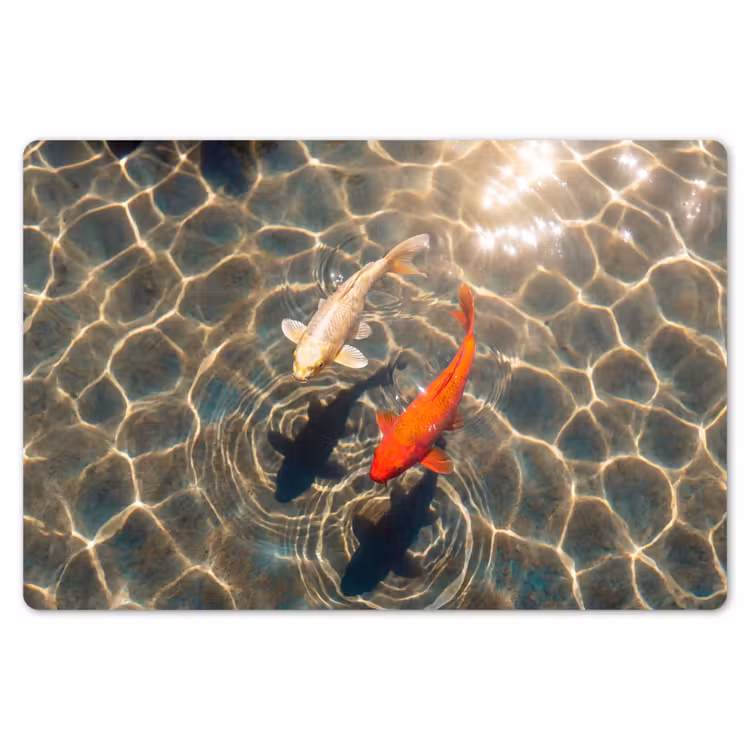 Placemat - 6 stuks - Vis - Water - Dieren - Oranje - Goud — 7