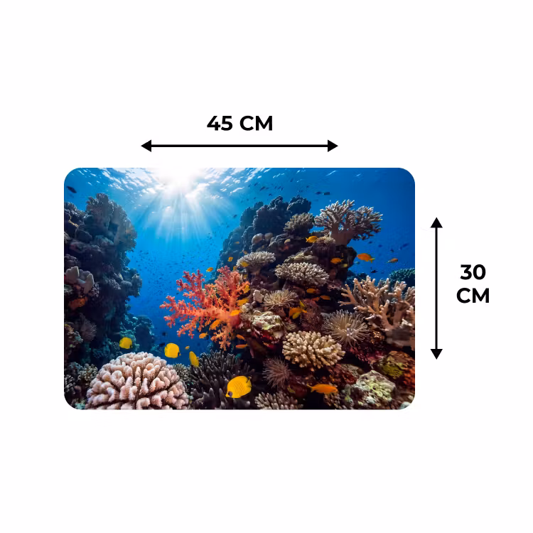 Placemat - 6 stuks - Zee - Koraalrif - Natuur - Levendig - Blauw — 3