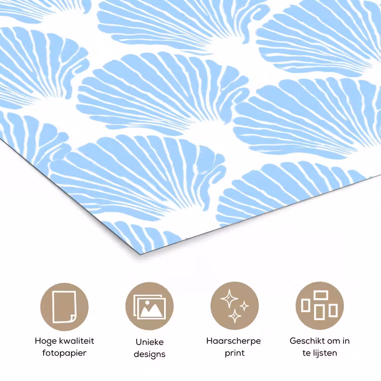 Poster - Blauw - Wit - Schelpen - Grafisch - Structuur — 5