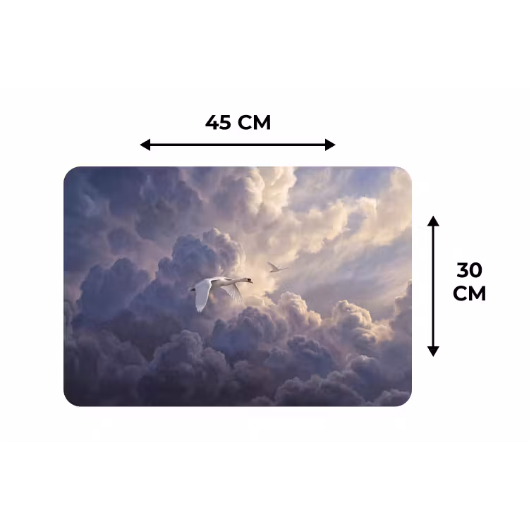 Placemat - 6 stuks - Vogel - Vliegend - Natuur - Wit - Wolken — 3