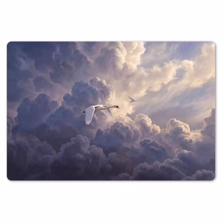 Placemat - 6 stuks - Vogel - Vliegend - Natuur - Wit - Wolken — 7