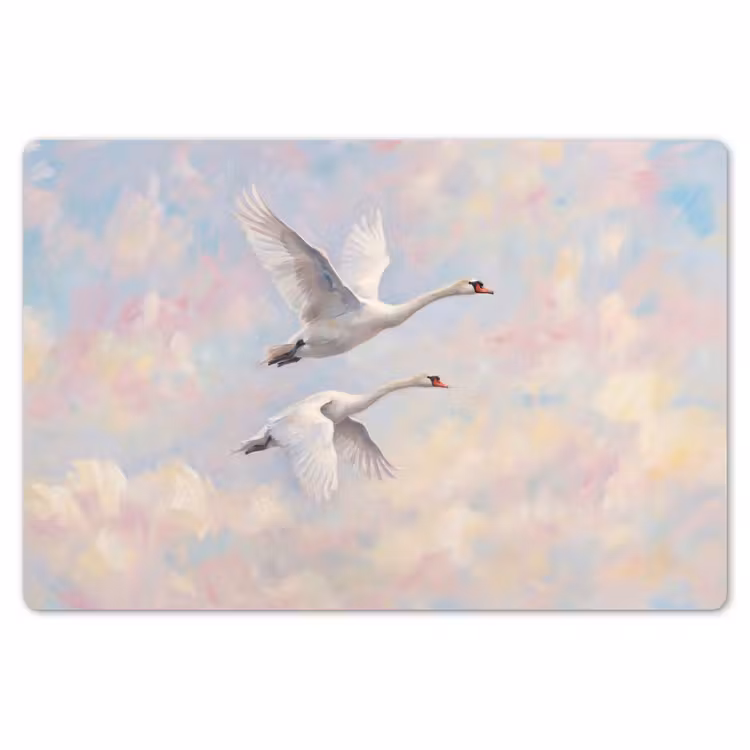 Placemat - 6 stuks - Vogel - Vliegend - Lucht - Modern - Pastel — 7