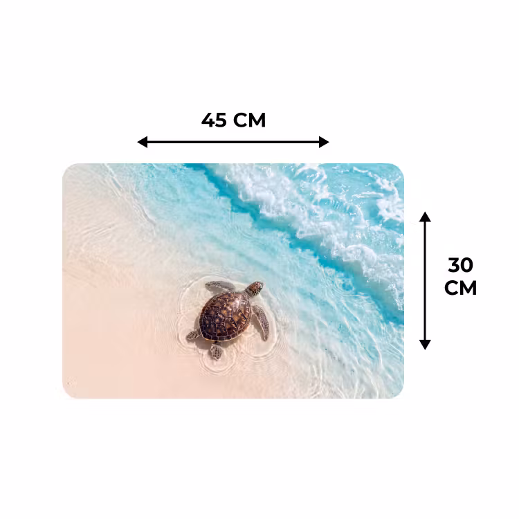 Placemat - 6 stuks - Schildpad - Helder water - Strand - Dieren - Natuur — 3