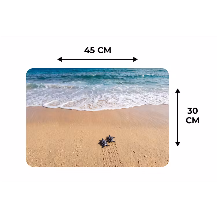 Placemat - 6 stuks - Schildpad - Jong - Strand - Oceaan - Blauw — 3