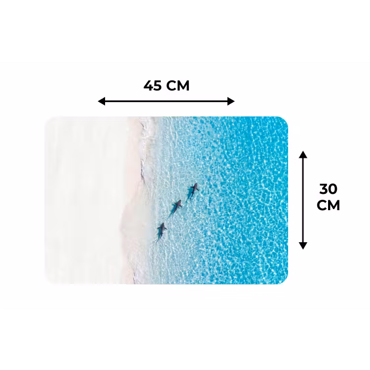 Placemat - 6 stuks - Vis - Oceaan - Strand - Turquoise - Natuur — 3