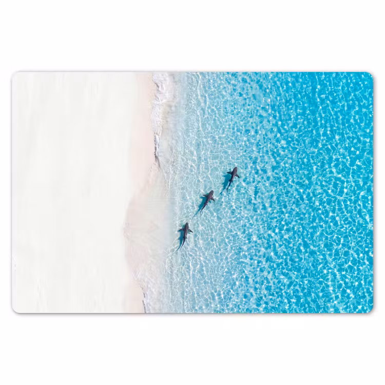 Placemat - 6 stuks - Vis - Oceaan - Strand - Turquoise - Natuur — 7