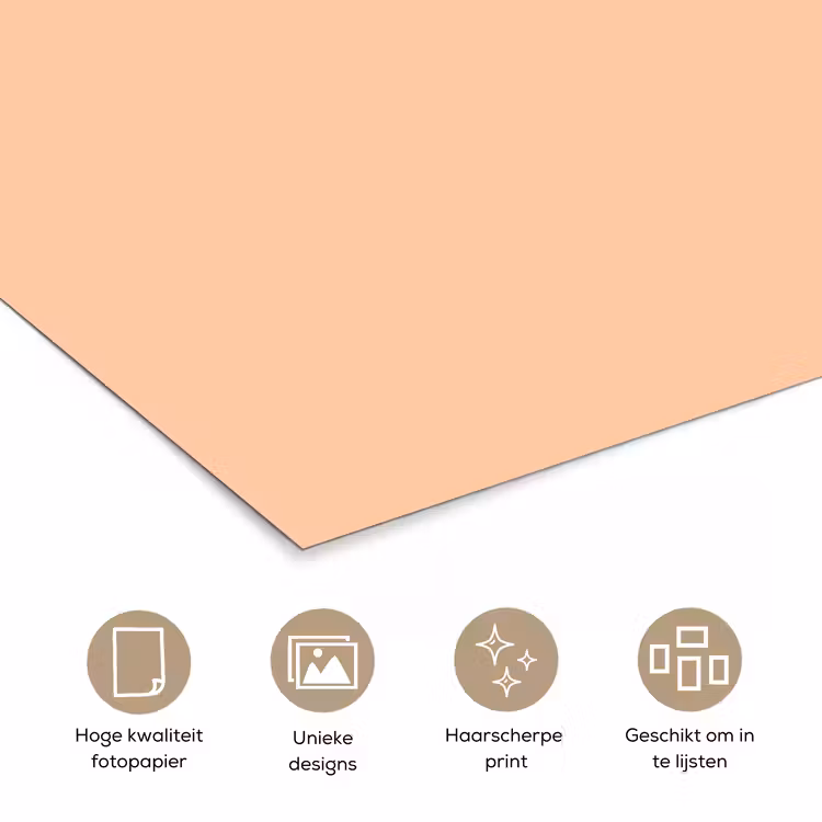 Poster - Apricot - Blush - Nude — 5