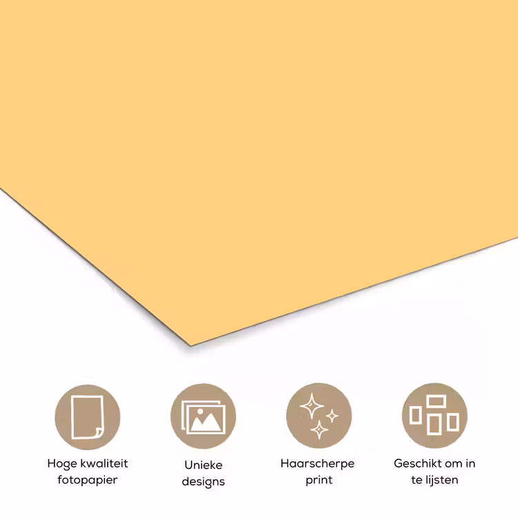 Poster - Apricot - Ice - Oranje — 5