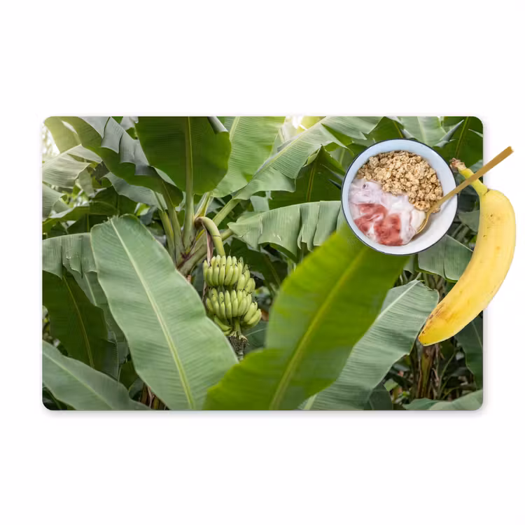 Placemat - 6 stuks - Eten - Bananen - Plantage - Groen — 1