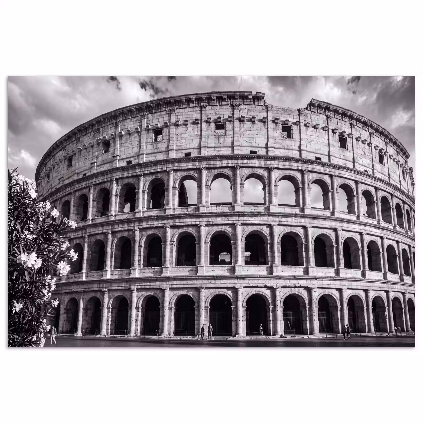 Poster - Architectuur - Colosseum - Rome - Historisch - Zwart-wit — 1
