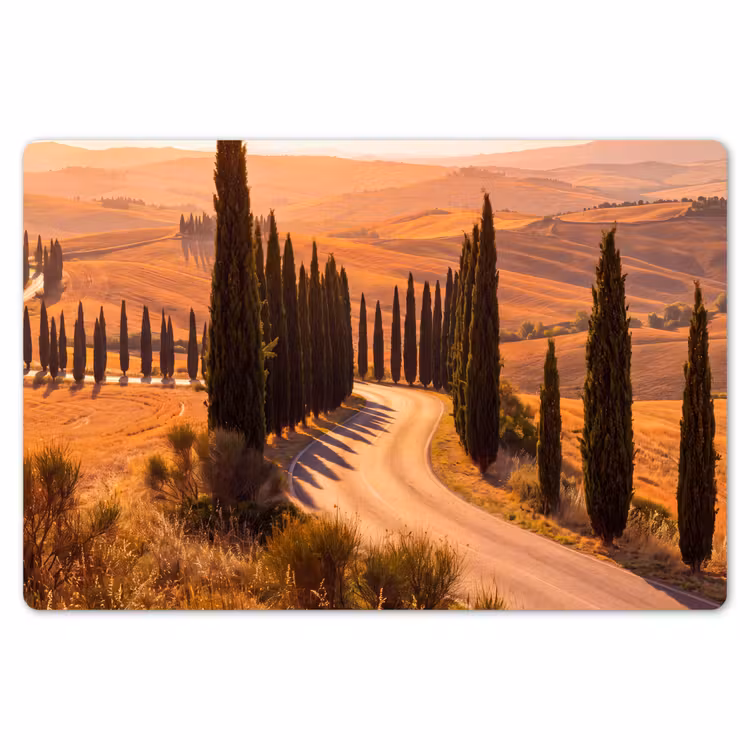 Placemat - 6 stuks - Landschap - Weg - Bomen - Natuur - Goud — 7