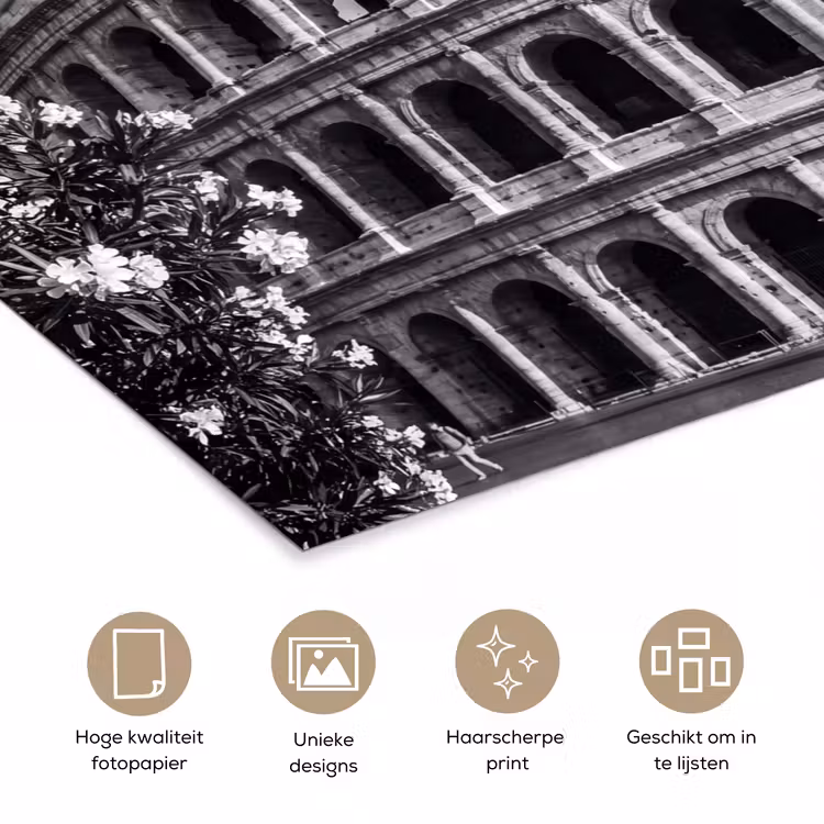 Poster - Architectuur - Colosseum - Rome - Historisch - Zwart-wit — 5