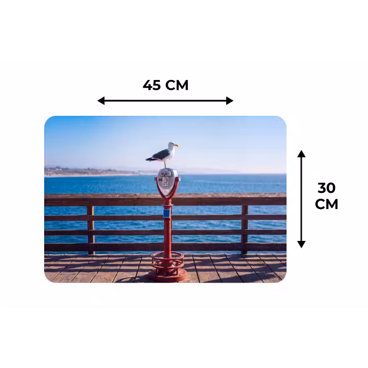 Placemat - 6 stuks - Vogel - Verrekijker - Kust - Zee - Blauw — 3
