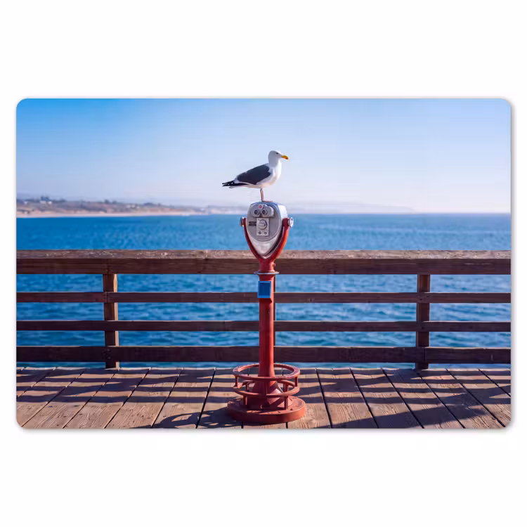 Placemat - 6 stuks - Vogel - Verrekijker - Kust - Zee - Blauw — 7