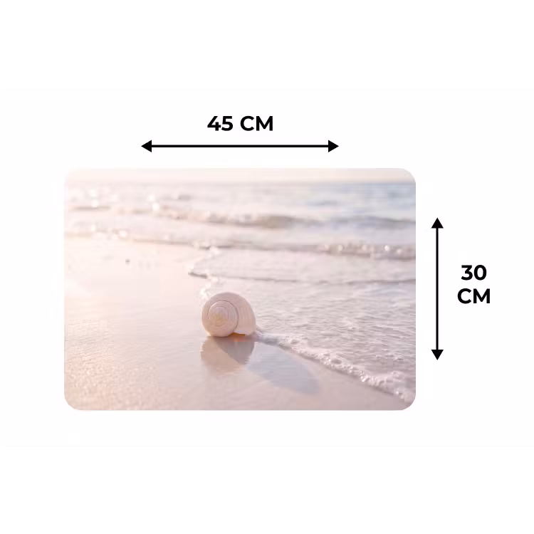 Placemat - 6 stuks - Zeeschelp - Strand - Zee - Natuur - Beige — 3
