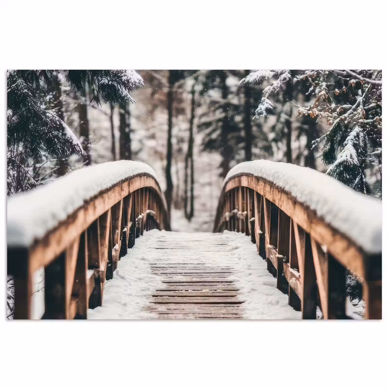 Poster - Brug - Winterlandschap - Bos - Natuur - Sneeuw — 1