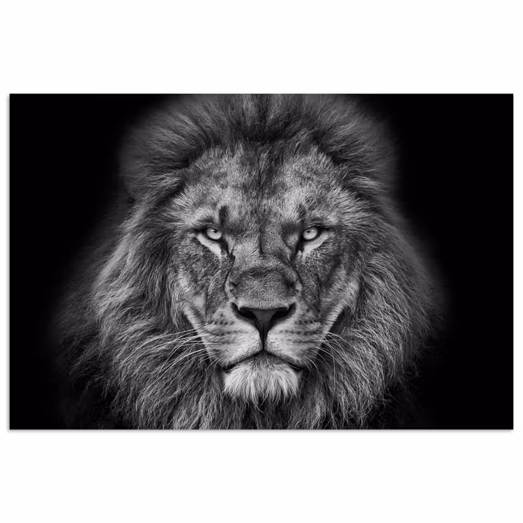 Poster - Dieren - Leeuw - Zwart - Wit - Portret — 1