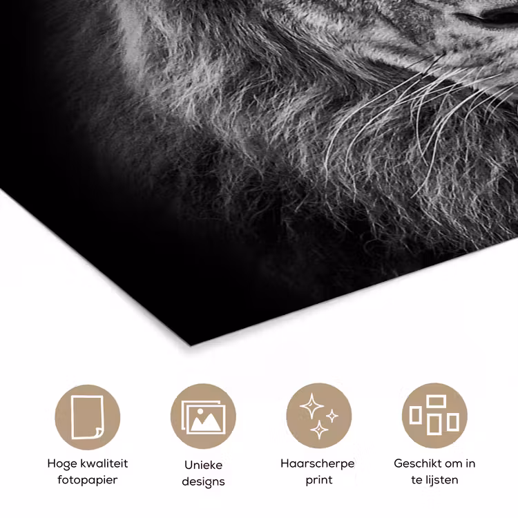 Poster - Dieren - Leeuw - Zwart - Wit - Portret — 5