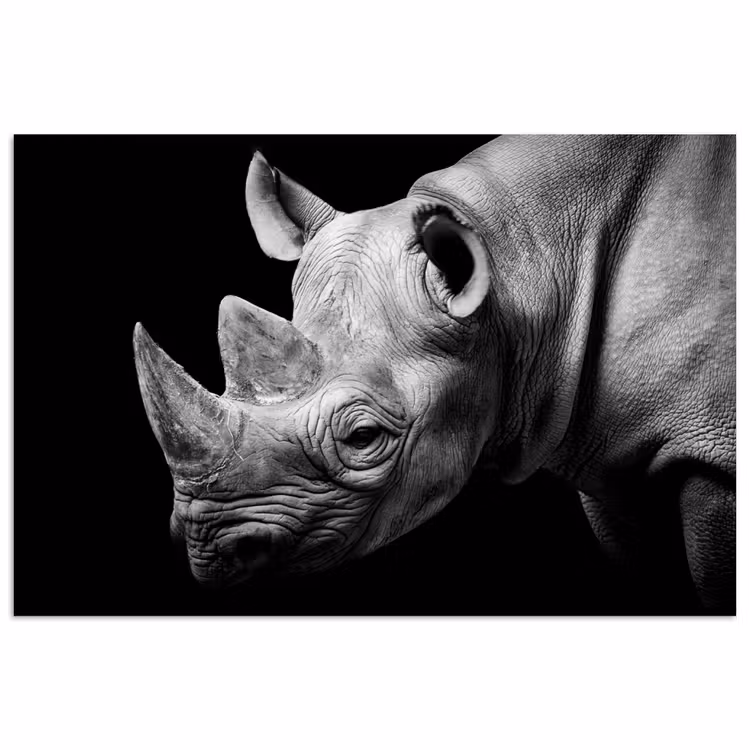 Poster - Dieren - Neushoorn - Zwart - Wit - Portret — 1