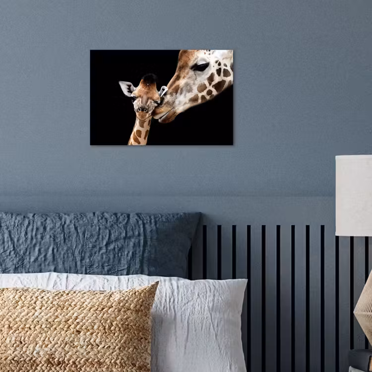 Poster - Giraffe - Dieren - Zwart - Portret - Dieren — 3