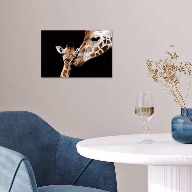 Poster - Giraffe - Dieren - Zwart - Portret - Dieren — 4