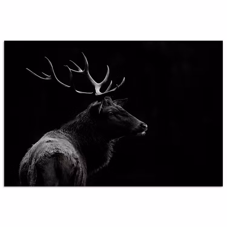 Poster - Hert - Zwart - Portret - Gewei - Dieren — 1