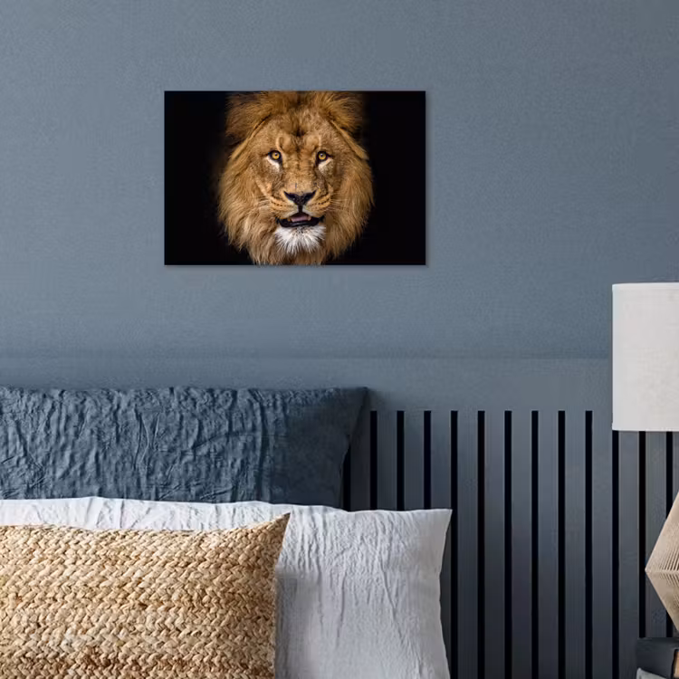 Poster - Leeuw - Portret - Zwart - Dieren — 3