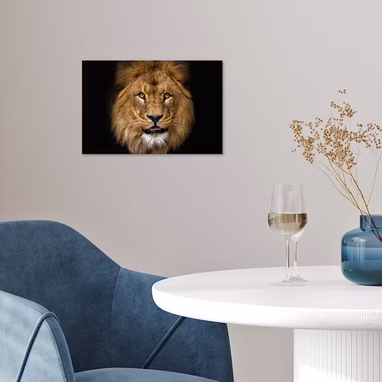 Poster - Leeuw - Portret - Zwart - Dieren — 4