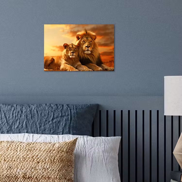 Poster - Leeuwen - Zonsondergang - Afrika - Savanne - Dieren — 3