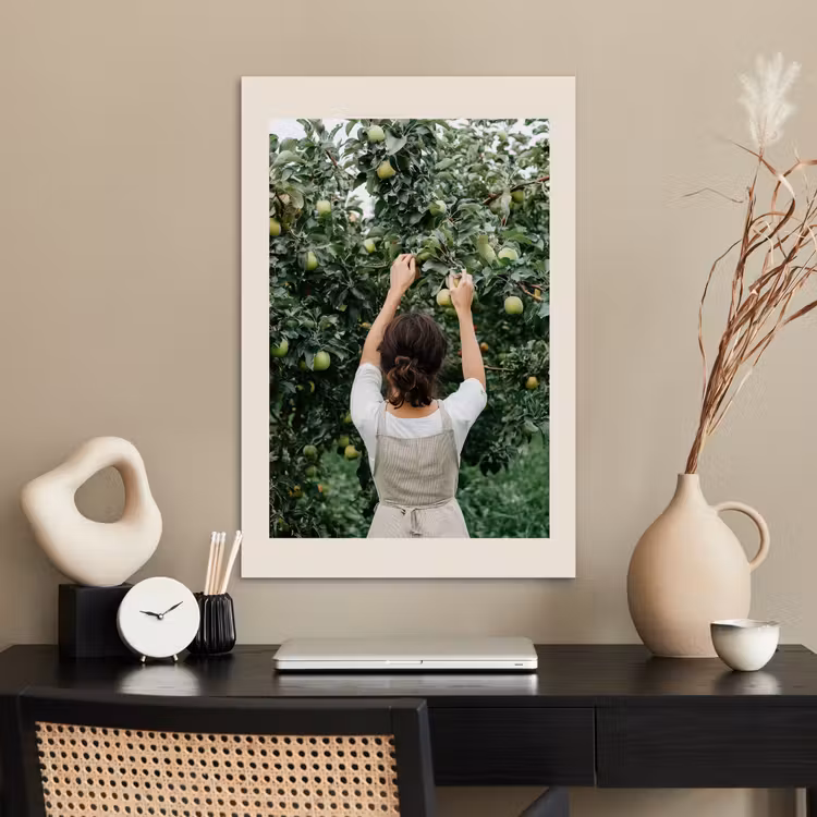 Poster - Boom - Appels - Plukken - Natuur — 2