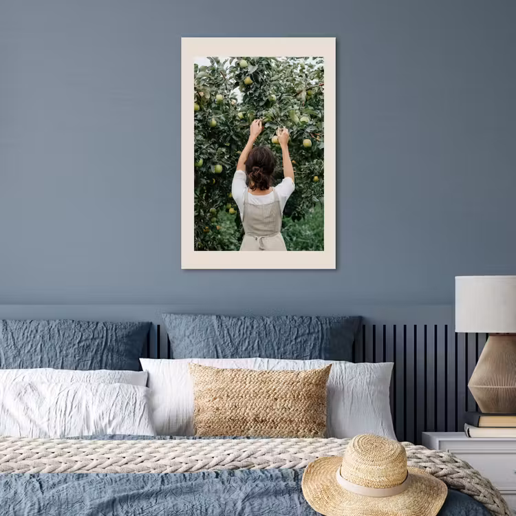 Poster - Boom - Appels - Plukken - Natuur — 3