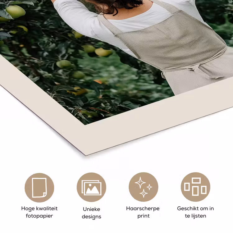 Poster - Boom - Appels - Plukken - Natuur — 5